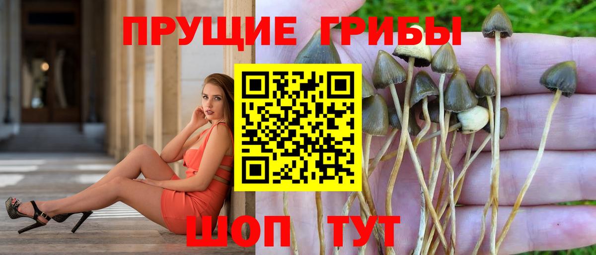 Псилоцибиновые грибы прущие грибы  Вход с VPN  Галлюциногенные грибы Magic Shrooms  Лиски 